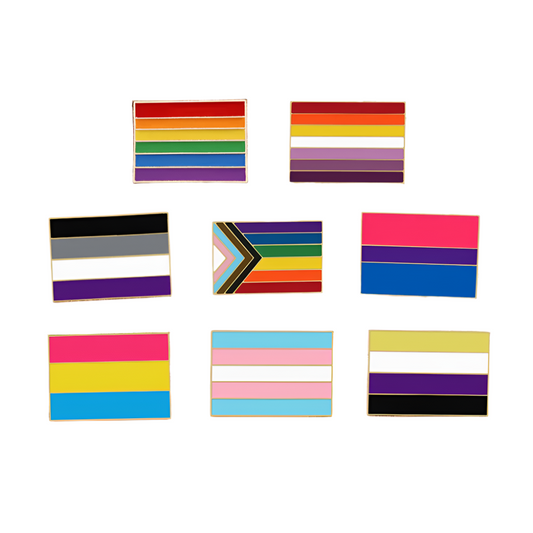 LGBTQ+ Flags Pins